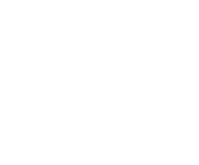 LOGO DLR